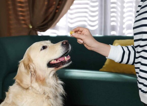 iStock-1439789364-(1)