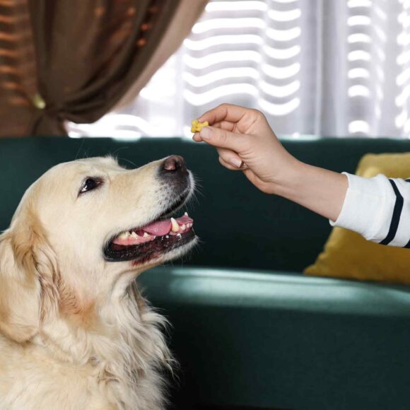 iStock-1439789364-(1)